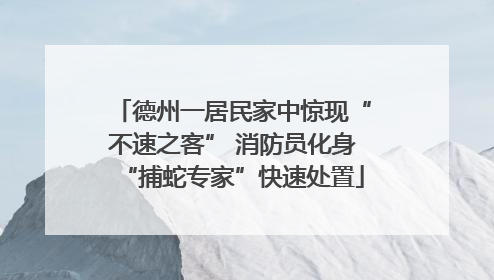 德州一居民家中惊现“不速之客” 消防员化身“捕蛇专家”快速处置