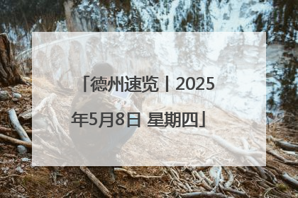 德州速览丨2025年5月8日 星期四