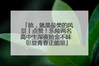 德，就是最美的风景丨点赞！乐陵两名高中生深夜拾金不昧 彰显青春正能量