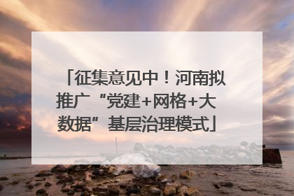 征集意见中！河南拟推广“党建+网格+大数据”基层治理模式