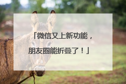 微信又上新功能，朋友圈能折叠了！