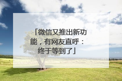 微信又推出新功能，有网友直呼：终于等到了