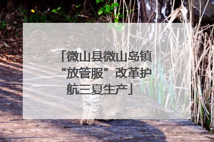 微山县微山岛镇“放管服”改革护航三夏生产