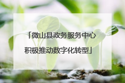 微山县政务服务中心积极推动数字化转型