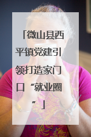 微山县西平镇党建引领打造家门口“就业圈”