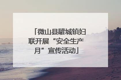 微山县驩城镇妇联开展“安全生产月”宣传活动