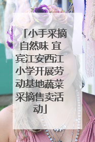 小手采摘自然味 宜宾江安西江小学开展劳动基地蔬菜采摘售卖活动