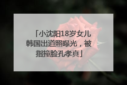 小沈阳18岁女儿韩国出道照曝光，被指撞脸孔孝真