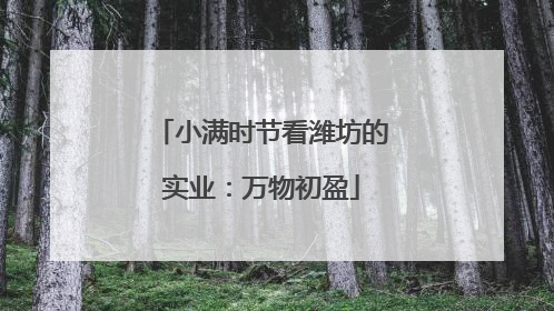 小满时节看潍坊的实业：万物初盈