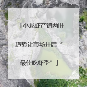 小龙虾产销两旺趋势让市场开启“最佳吃虾季”