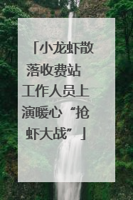 小龙虾散落收费站 工作人员上演暖心“抢虾大战”