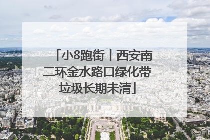 小8跑街丨西安南二环金水路口绿化带垃圾长期未清