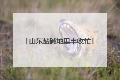 山东盐碱地里丰收忙