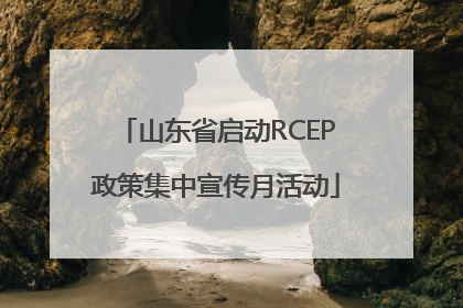 山东省启动RCEP政策集中宣传月活动