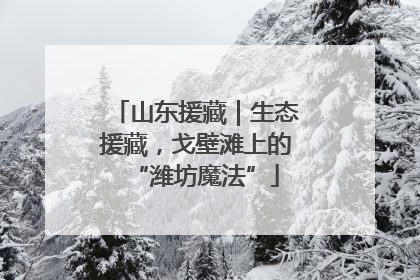 山东援藏｜生态援藏，戈壁滩上的“潍坊魔法”