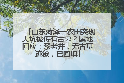 山东菏泽一农田突现大坑被传有古墓？属地回应：系老井，无古墓迹象，已回填