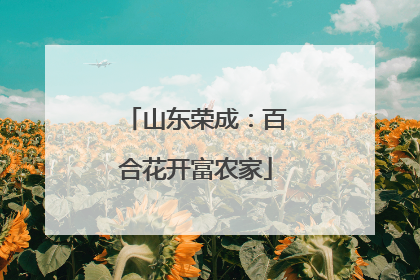 山东荣成：百合花开富农家