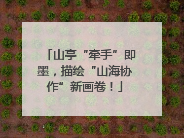 山亭“牵手”即墨，描绘“山海协作”新画卷！
