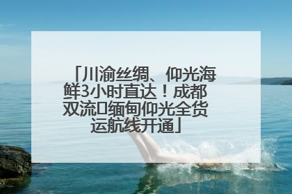 川渝丝绸、仰光海鲜3小时直达！成都双流⇌缅甸仰光全货运航线开通