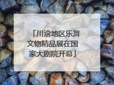 川渝地区乐舞文物精品展在国家大剧院开幕