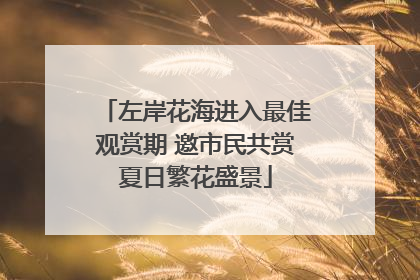 左岸花海进入最佳观赏期 邀市民共赏夏日繁花盛景