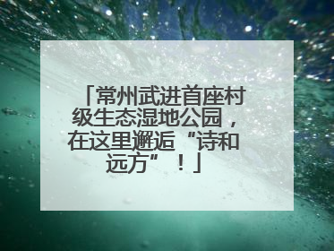 常州武进首座村级生态湿地公园，在这里邂逅“诗和远方”！