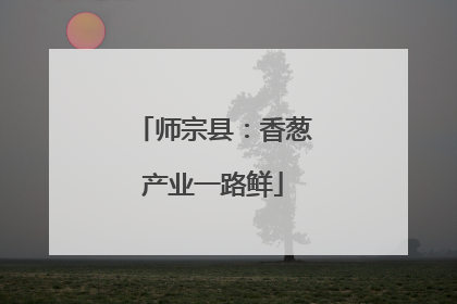 师宗县：香葱产业一路鲜