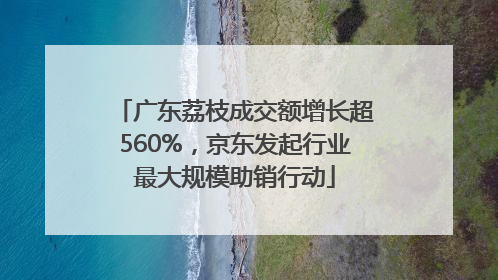 广东荔枝成交额增长超560%，京东发起行业最大规模助销行动