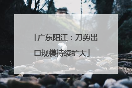 广东阳江：刀剪出口规模持续扩大