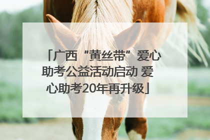广西“黄丝带”爱心助考公益活动启动 爱心助考20年再升级