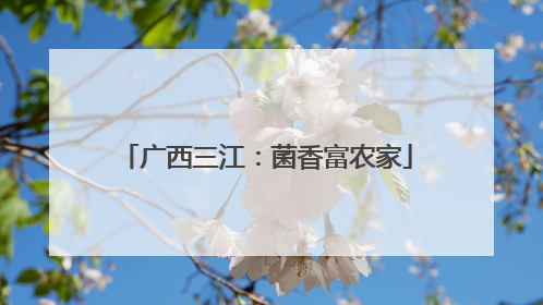 广西三江：菌香富农家