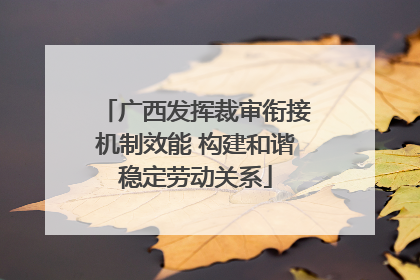 广西发挥裁审衔接机制效能 构建和谐稳定劳动关系