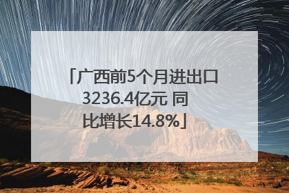 广西前5个月进出口3236.4亿元 同比增长14.8%