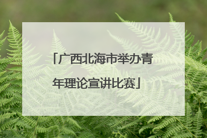 广西北海市举办青年理论宣讲比赛