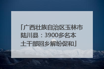 广西壮族自治区玉林市陆川县：3900多名本土干部回乡解纷促和