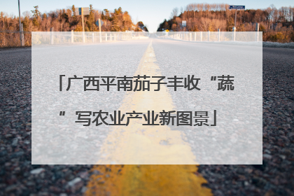 广西平南茄子丰收“蔬”写农业产业新图景