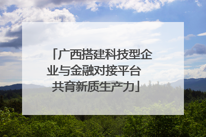 广西搭建科技型企业与金融对接平台 共育新质生产力