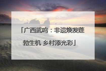 广西武鸣：非遗焕发蓬勃生机 乡村添光彩