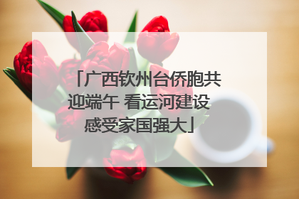 广西钦州台侨胞共迎端午 看运河建设感受家国强大