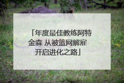 年度最佳教练阿特金森 从被篮网解雇开启进化之路