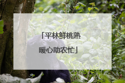 平林鲜桃熟 暖心助农忙