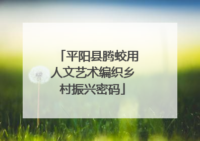 平阳县腾蛟用人文艺术编织乡村振兴密码