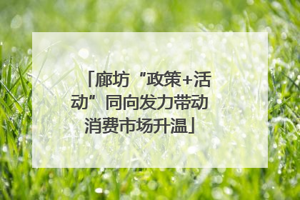 廊坊“政策+活动”同向发力带动消费市场升温