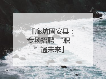 廊坊固安县：专场招聘 “职”通未来