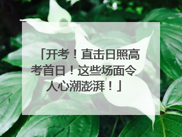 开考！直击日照高考首日！这些场面令人心潮澎湃！