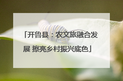 开鲁县：农文旅融合发展 擦亮乡村振兴底色