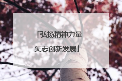 弘扬精神力量 矢志创新发展