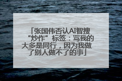 张国伟否认AI智搜“炒作”标签：骂我的大多是同行，因为我做了别人做不了的事
