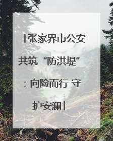 张家界市公安共筑“防洪堤”：向险而行 守护安澜
