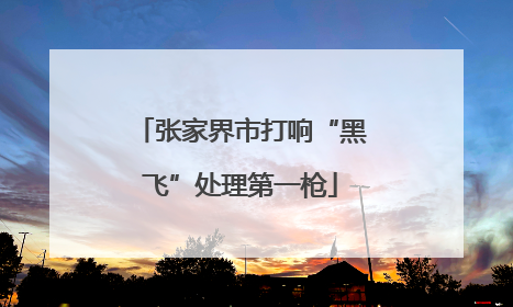 张家界市打响“黑飞”处理第一枪